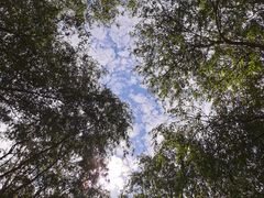 -东郊湿地公园