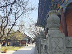 -护国法轮寺