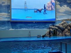 -福州罗源湾海洋世界旅游区