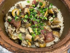 -红星光发煲仔饭(大石街店)