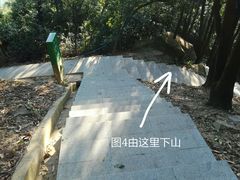 -火炉山森林公园