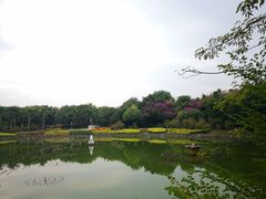 -南宁南湖公园