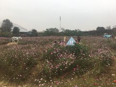 -武汉紫薇都市田园