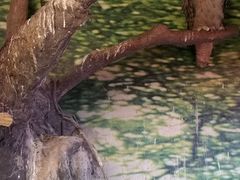 -上海大自然野生昆虫馆
