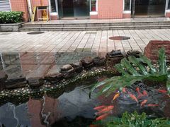 -广州市越秀区育才实验学校