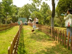 -郴州特产舜华临武鸭(郴州西站店)