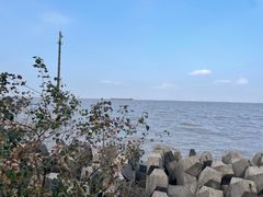 -上海滨江森林公园