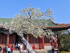 -珠海圆明新园