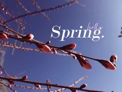 -桃花堤公园
