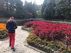-庐山风景区花径公园