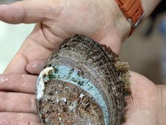 -沙田台山海鲜·酣客酒窖