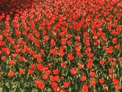 -长春公园(普阳街道)