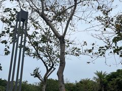 -天悦阁海景酒廊