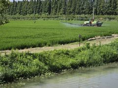 -嘉北郊野公园