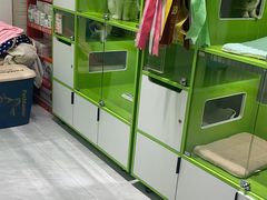 -唐小姐の猫狗洗护·购宠旗舰店(周浦万达店)