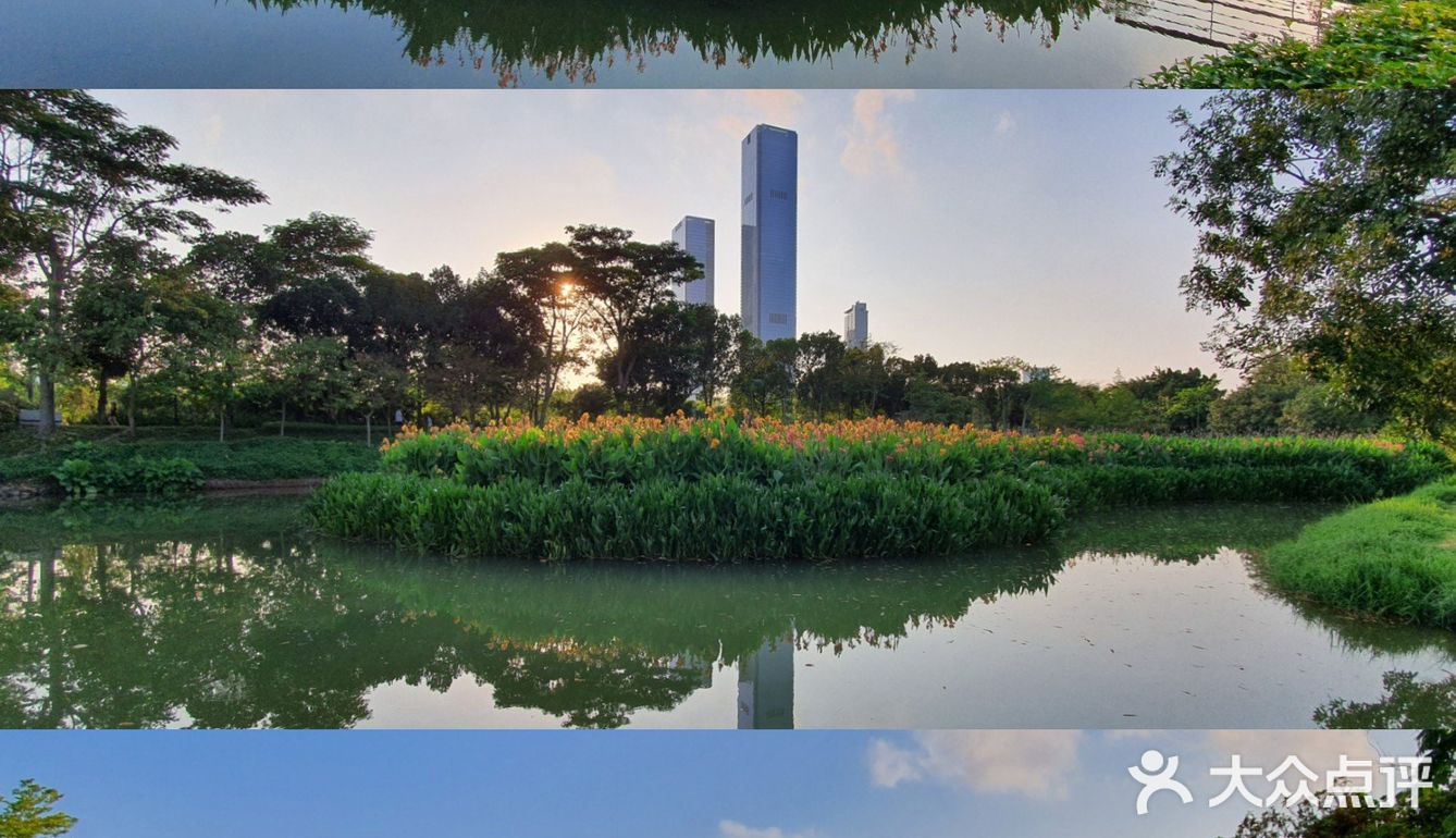 深圳人的后花园|满足你一切愿望的宝藏公园