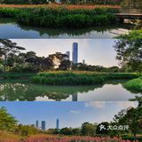 深圳人的后花园|满足你一切愿望的宝藏公园