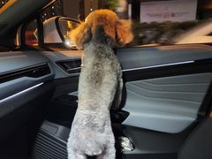-汉堡王(合肥之心城店)