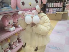 -安吉Hello Kitty乐园