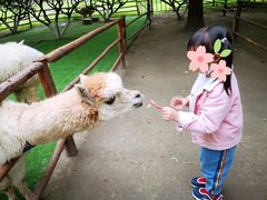 -秀丽东方