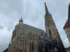 -斯蒂芬主教座堂(Stephansdom)