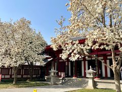 -大慈恩寺(大雁塔)