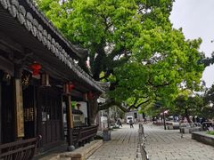 -江心屿景区