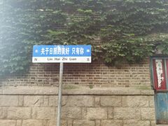 -日照海滨国家森林公园