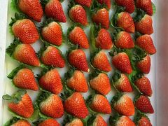 -果唯伊(共和新路店)