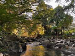 -广州市石门国家森林公园