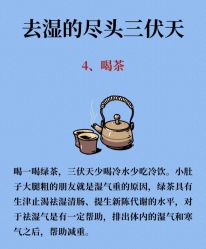 -Fundi张玉珊修身堂·indiba·BTL科技瘦身