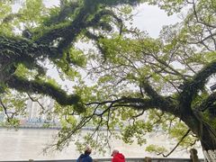 -江心屿景区