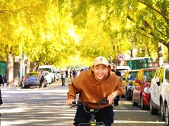 -三里屯东五街银杏大道