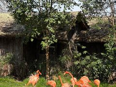 -上海动物园(地铁站)