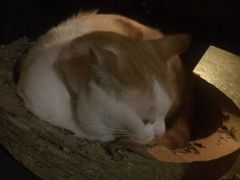 -江湖边·小生活