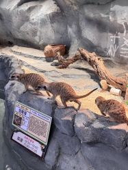 -Zoolung Zoolung动物主题公园(海信广场店)