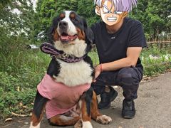 -樱桃山旅游景区