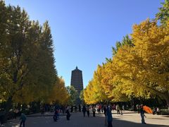 -玲珑塔公园