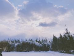 -亚布力新体委滑雪场