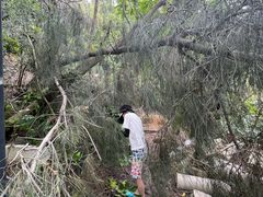 -草庵摩尼教遗址公园