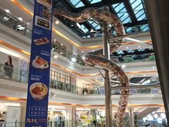 -巴黎春天(浦建店)