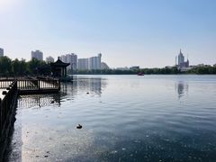 -莲花池公园