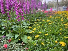 -广州国际生物岛