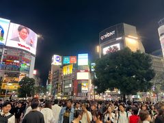 -涩谷区