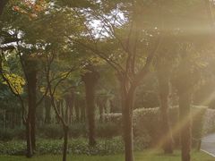 -郑州植物园