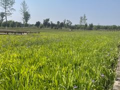 -汉长安城未央宫国家考古遗址公园