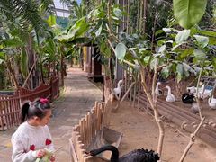 -呀路古热带植物园
