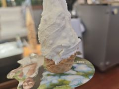 大米-野人先生Gelato(上海长宁龙之梦店)