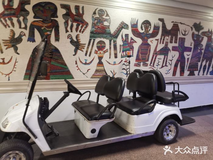 开罗国际机场图片