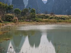 -钟山水墨田园